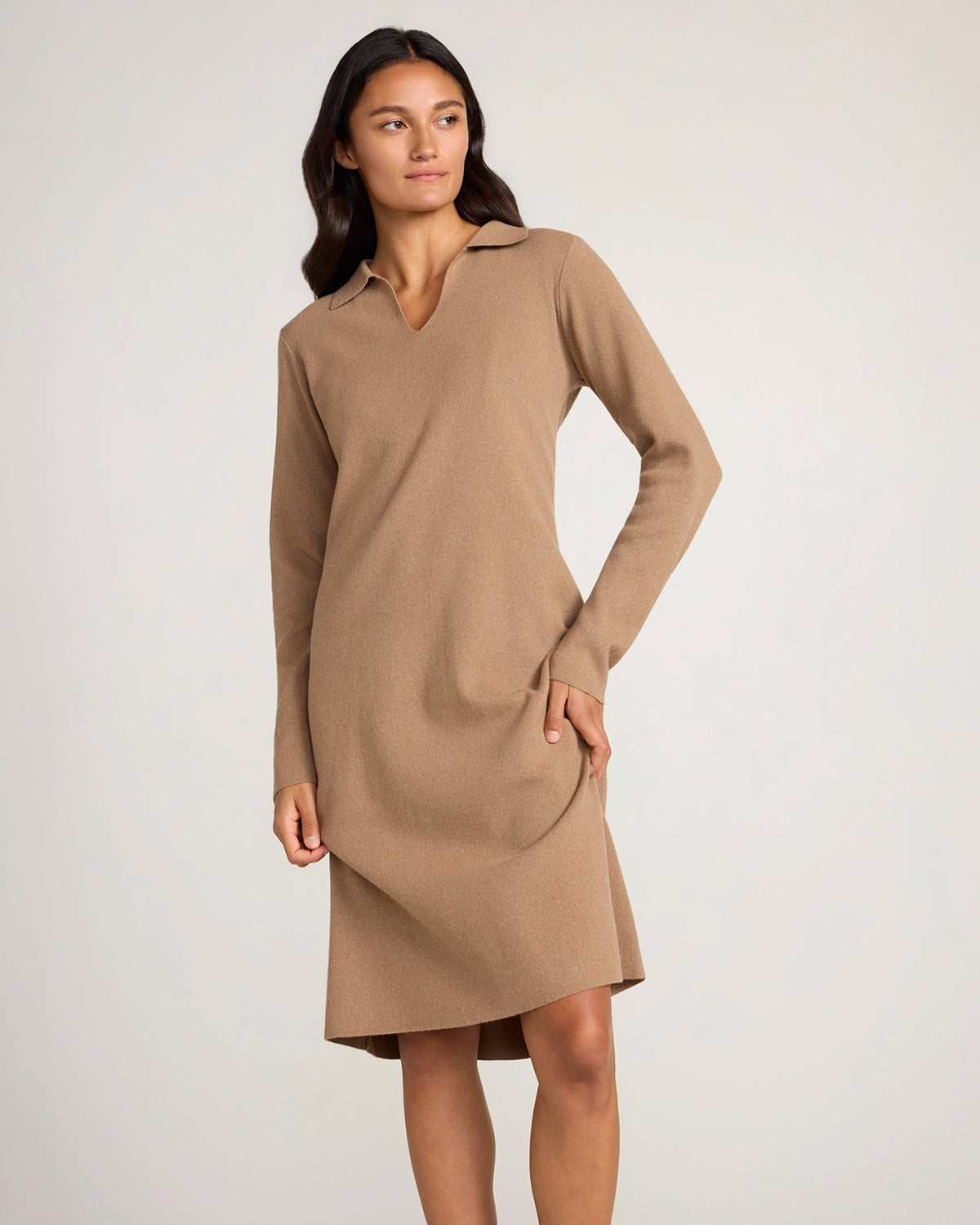 The Soft Luxe Johnny Collar Dress - Taupe