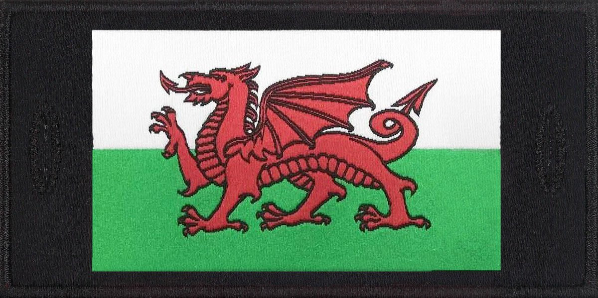Wales Patch - One Size