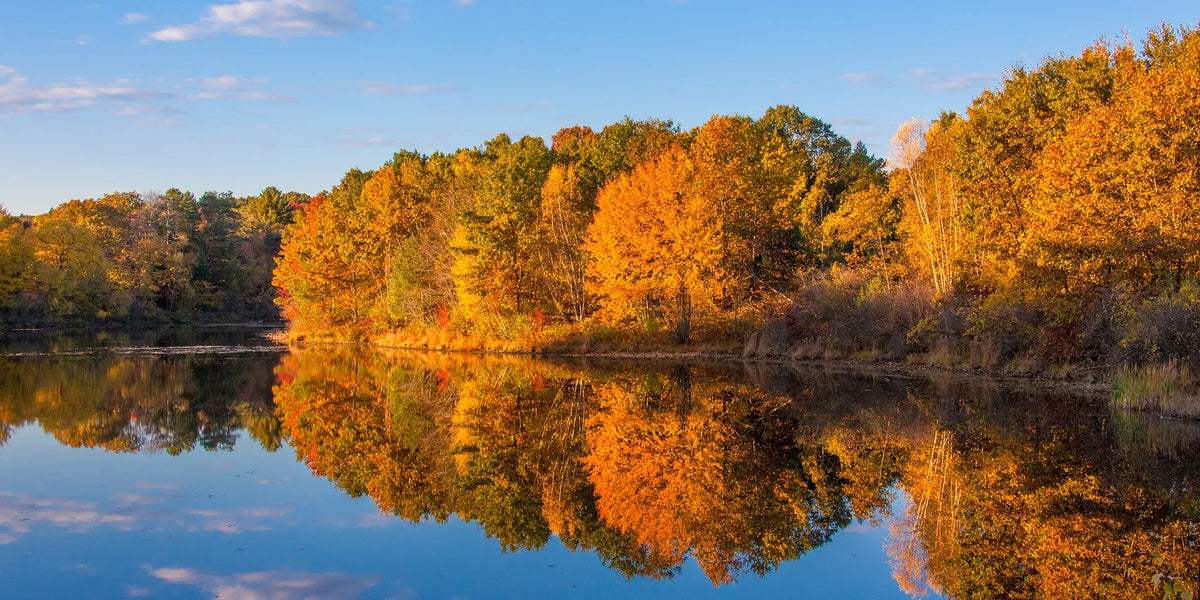 A scenic landscape print showing a calm lake with a dense forest of trees in vibrant autumn colors, including bright orange, yellow, and green foliage, perfectly reflected in the water under a blue sky.